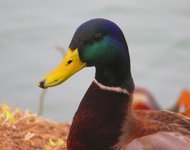 Spring2025-6.jpg
