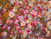 Spring2025-7.jpg