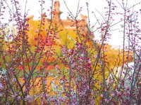 Spring2025-8.jpg