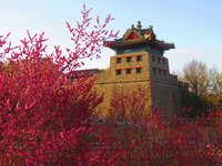 Spring2025-11.jpg