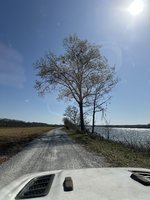 IMG_3775.jpeg