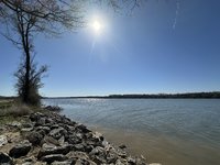IMG_3788.jpeg