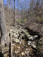 IMG_3800.jpeg