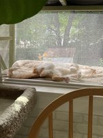 IMG_5878.jpeg