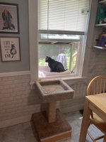 IMG_5727.jpeg