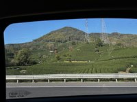 IMG_4423.jpeg