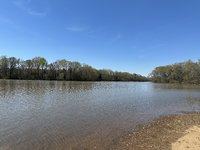 IMG_4303.jpeg