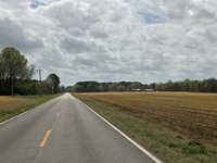 IMG_4719.jpeg