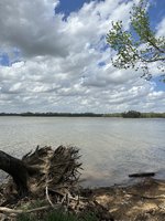 IMG_4743.jpeg