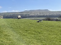 IMG_0772.jpeg
