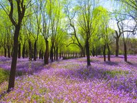 Spring2025-21.jpg