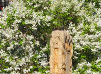 Spring2025-25.jpg