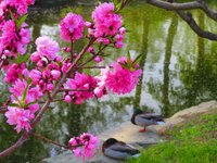 Spring2025-27.jpg