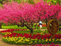 Spring2025-29.jpg