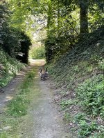 IMG_5789.jpeg