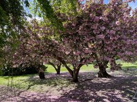 IMG_5807.jpeg