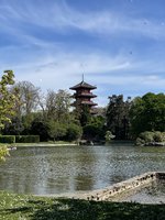 IMG_5818.jpeg
