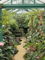 IMG_5828.jpeg