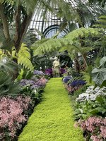 IMG_5831.jpeg