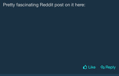 IMG_0866.jpeg