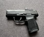P365.jpg