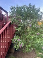 IMG_7949.jpeg