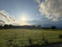 IMG_5951.jpeg