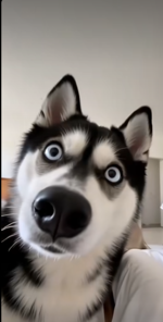 Screenshot 2025-04-30 111006.png