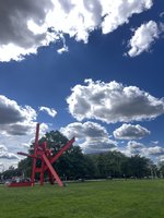 IMG_8875.jpeg