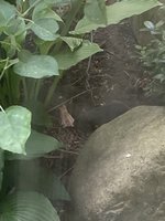 IMG_9613.jpeg