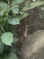 IMG_9611.jpeg