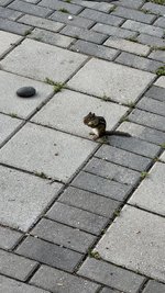 IMG_6991.jpeg