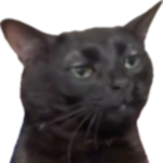 1749580419037.png