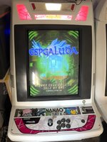 IMG_9851.jpeg IMG_9851.jpeg