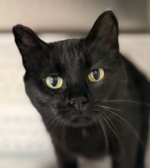 Screenshot 2025-08-28 151210.png