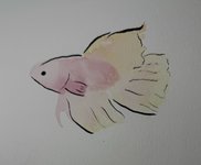 IMG_6090.jpeg IMG_6090.jpeg