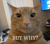 but why (1).jpg