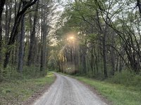 IMG_9857.jpeg
