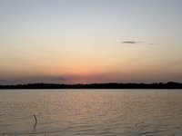 IMG_9885.jpeg
