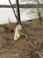 IMG_9889.jpeg
