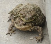 Spring2026-1.jpg