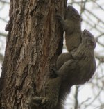 Spring2026-4.jpg