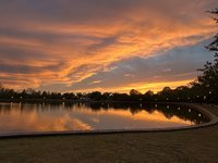 IMG_5470.jpeg