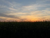 IMG_0205.jpeg