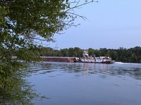 IMG_0220.jpeg