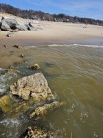 20260409_145056.jpg