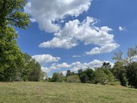 IMG_5519.jpeg