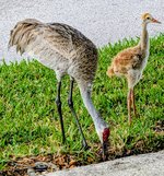 Messenger_creation_C3BD93FA-8CAA-47D9-863E-B2CE9FF43565.jpeg