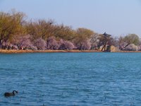 Spring2026-7.jpg