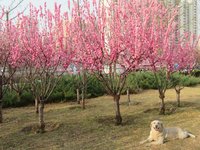 Spring2026-9.jpg